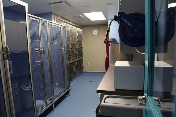 cat and dog hospital red deer