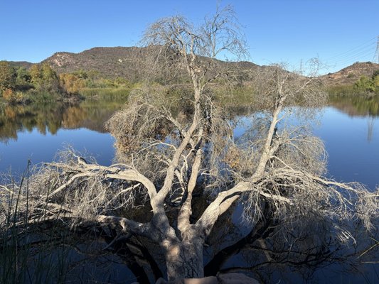 Laguna Coast Wilderness Park: Big Bend by null