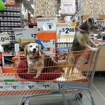 The Home Depot - Dog friendly - Nurseries & Gardening Near Me - Soquel, California The Home Depot - Dog friendly - Nurseries & Gardening Near Me - Soquel, California