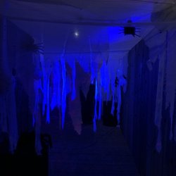 Haunted Wharf - Haunted wharf, Haunted house, Sparkman wharf, Channelside, Downtown Tampa