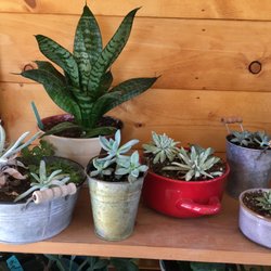 Canyon's Edge Plants