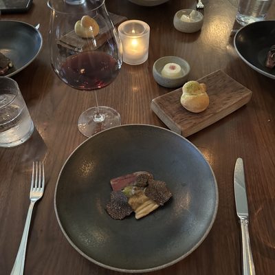 The Painted Lady by null