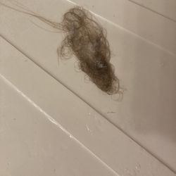 Philip Daniel Salon