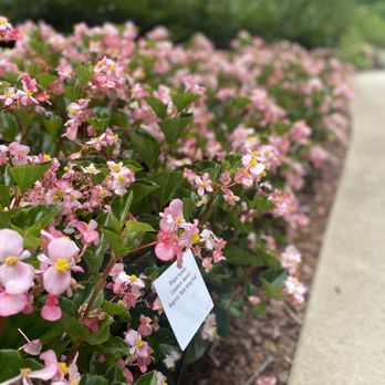 Atlanta Botanical Garden - Botanical Gardens Near Me - Gainesville, Georgia