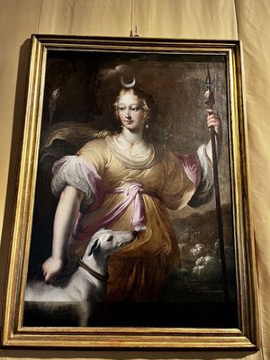 La Venaria Reale by null