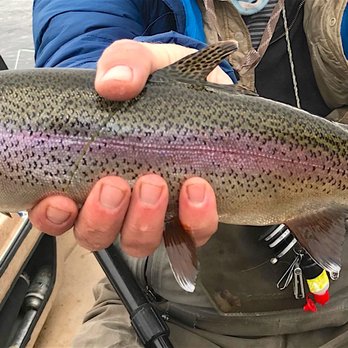 Gig Harbor Fly Shop - Trout caught on a dry fly w/ guide on a drift boat. - Hunting & Fishing Supplies Near Me - Gig Harbor, Washington Gig Harbor Fly Shop - Trout caught on a dry fly w/ guide on a drift boat. - Hunting & Fishing Supplies Near Me - Gig Harbor, Washington