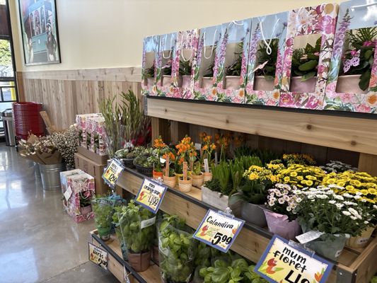 Trader Joe's by null