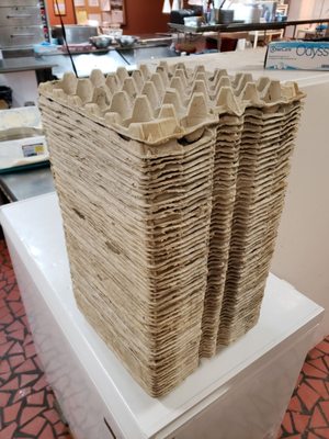 The Beaver Bar Ormond Beach by null