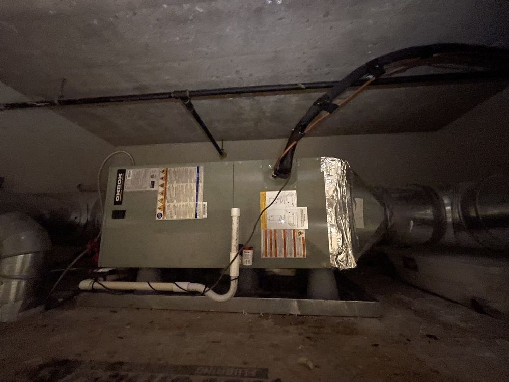 Slide of Veracity Services