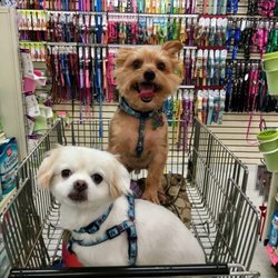 Pet Stores In Radcliff Yelp