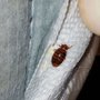 Photo of Pestco Pest Control Service