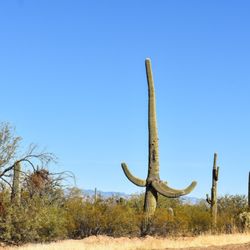 Town of Sahuarita
