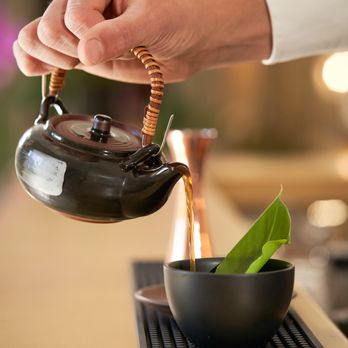 Magnolia - Asian Fusion Near Me - Florence, FI