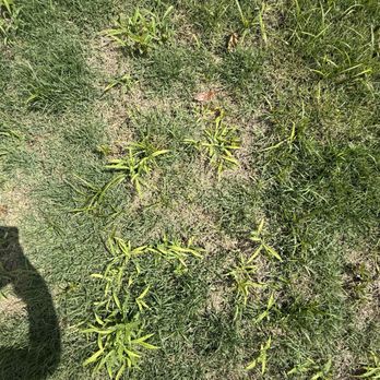 Quigley's Landscaping - Landscaping Near Me