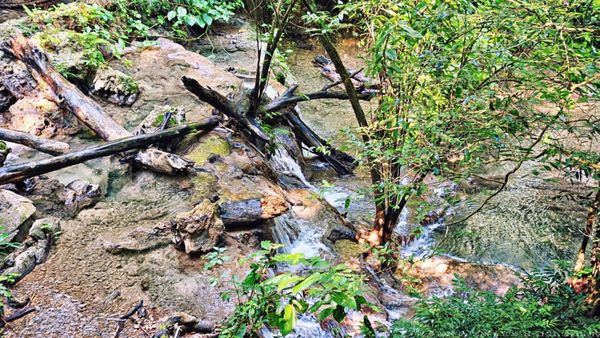 Palenque Temple of Inscriptions by null