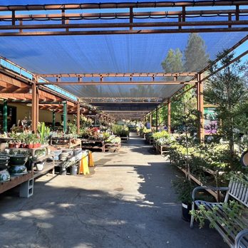 Sloat Garden Center - Nurseries & Gardening Near Me - Pleasant Hill, California Sloat Garden Center - Nurseries & Gardening Near Me - Pleasant Hill, California