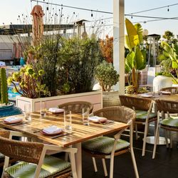 Butterfly - Patio