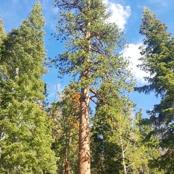 Cathedral Rock - 5/28/16 - Hiking Near Me - Mt Charleston, Nevada