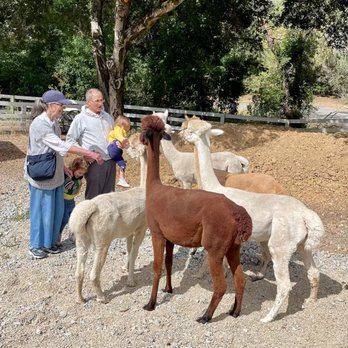 R2 Hillside Ranch - Ranches Near Me - Watsonville, California