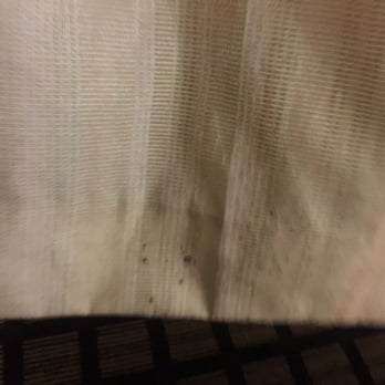 Baymont by Wyndham Marrero - More mold - Hotels Near Me - Marrero, Louisiana