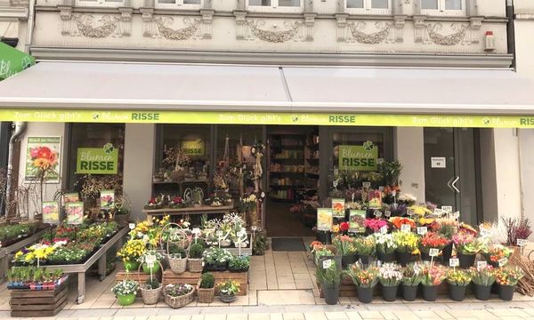 BLUMEN RISSE Updated April 2025 Niederwall 1, Bielefeld, Nordrhein