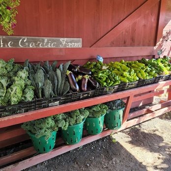 The Garlic Farm - a display of fresh vegetables - Farmers Market Near Me - West Granby, Connecticut The Garlic Farm - a display of fresh vegetables - Farmers Market Near Me - West Granby, Connecticut
