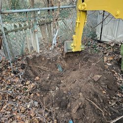 Supreme Excavating - Tree Removals