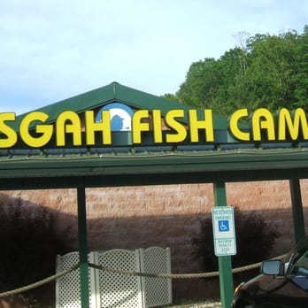 Pisgah Fish Camp - Seafood Near Me - Pisgah Forest, North Carolina Pisgah Fish Camp - Seafood Near Me - Pisgah Forest, North Carolina