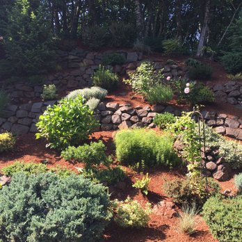 Bark Boys - Hillside out back - looks great! - Nurseries & Gardening Near Me - Salem, Oregon