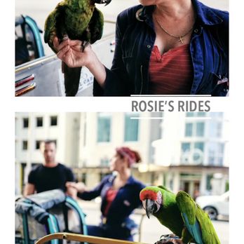 Fly By Pedal Cab - Tours - Pedicabs Near Me Fly By Pedal Cab - Tours - Pedicabs Near Me