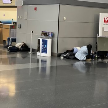 JFK Terminal 8 - Airport Terminals Near Me - Jamaica, New York JFK Terminal 8 - Airport Terminals Near Me - Jamaica, New York