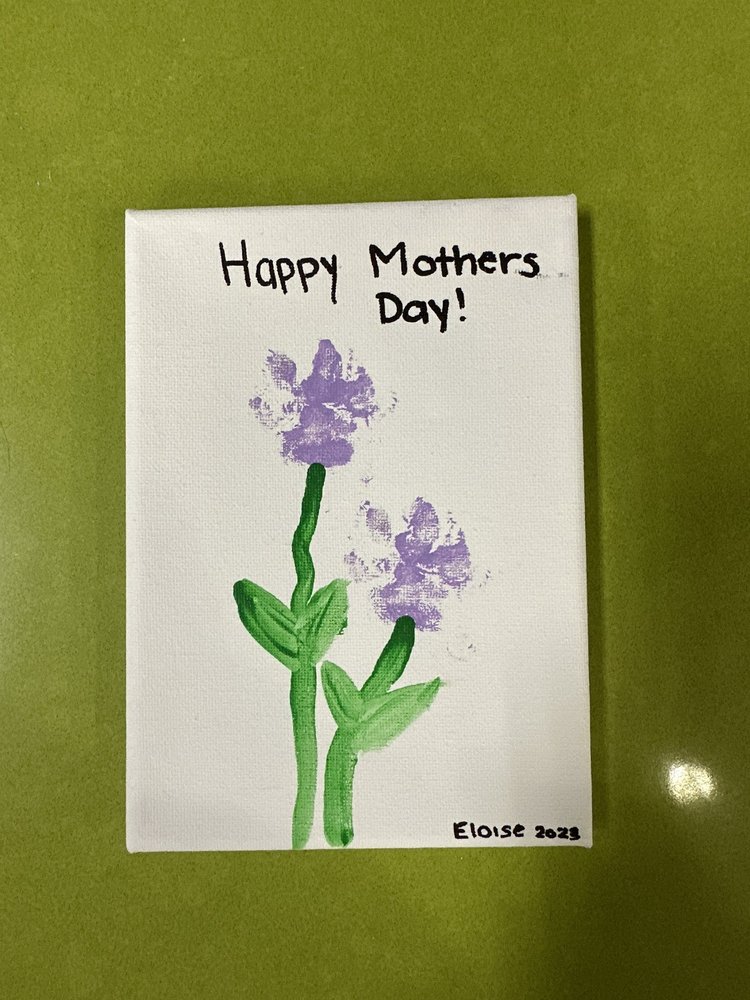 POOCH HOTEL NEWTON 32 Photos & 95 Reviews 285 Newtonville Ave