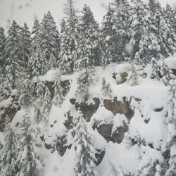 Hibernation House