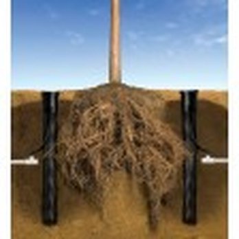 GreenTree Arborist - Deep Root Watering System for Trees and lg Shrubs - Tree Services Near Me GreenTree Arborist - Deep Root Watering System for Trees and lg Shrubs - Tree Services Near Me