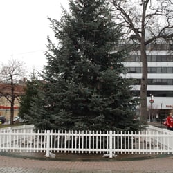 Christmas tree in Wilkes-Barre's Public Square Park