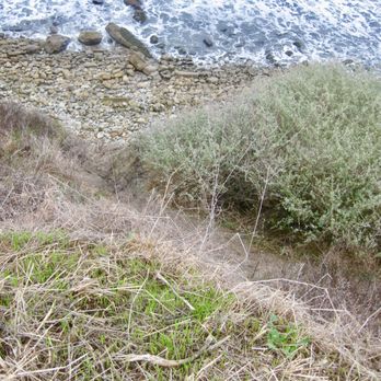 Palos Verdes Beach - dirt path down - Beaches Near Me - Palos Verdes Estates, California