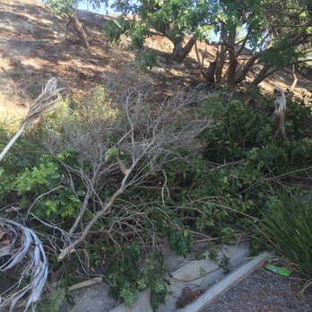 Blake Hauling - Pre clean up - Junk Removal & Hauling Near Me