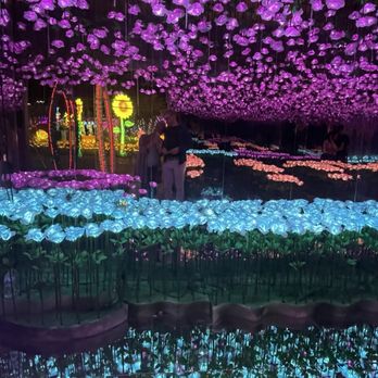Imaginarium - Festivals Near Me - Chandler, Arizona Imaginarium - Festivals Near Me - Chandler, Arizona