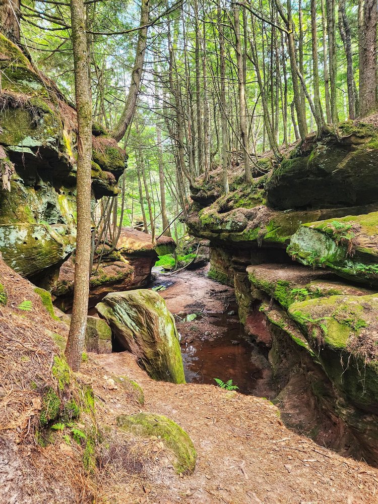 HOUGHTON FALLS HIKING TRAIL 29 Photos Yelp