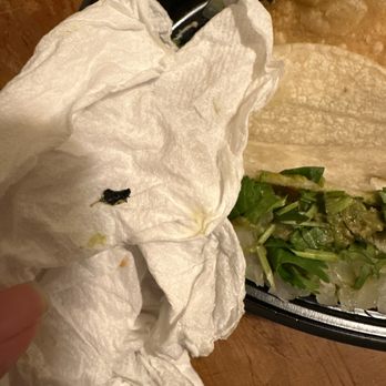 El Pollo Loco - Housefly - Fast Food Near Me - Glendale, California El Pollo Loco - Housefly - Fast Food Near Me - Glendale, California