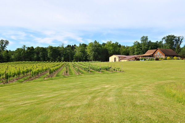 Buttonwood Grove Winery by null