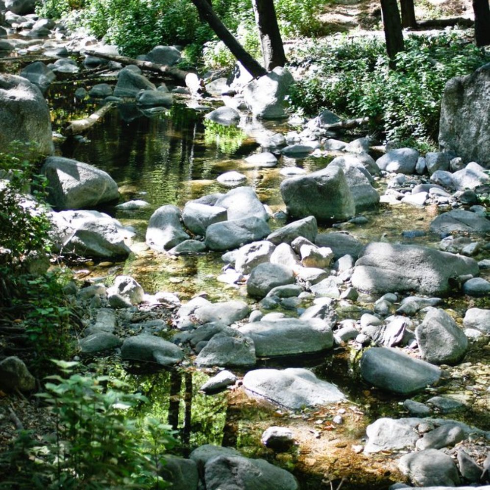 Santa Anita Canyon - Hiking Near Me Santa Anita Canyon - Hiking Near Me