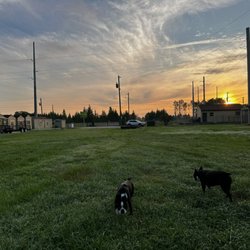 Carter's Canine Condo and Rescues