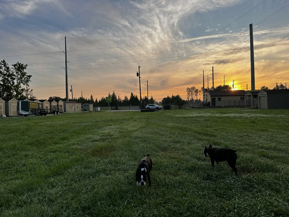 Carter's Canine Condo and Rescues - pet boarding facility in Land O' Lakes, FL