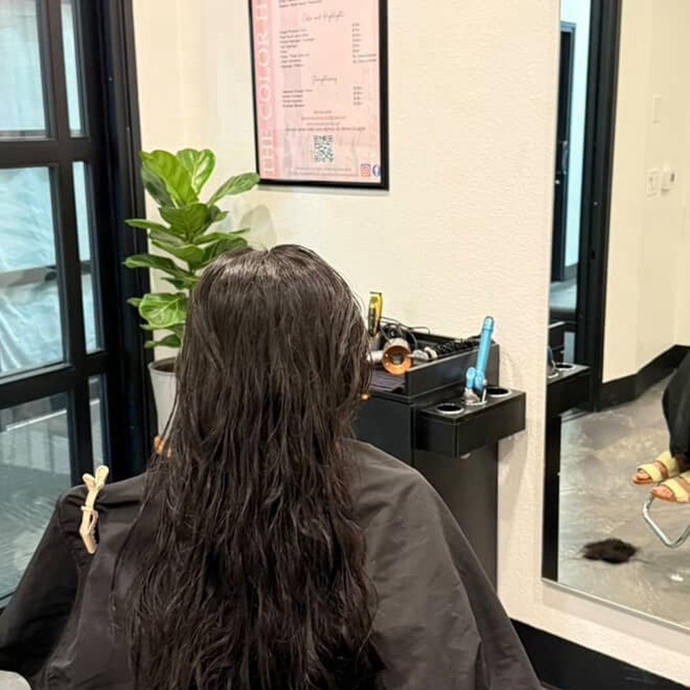 The Color Hustle - Before treatment - Hair Salons Near Me - San Ramon, California The Color Hustle - Before treatment - Hair Salons Near Me - San Ramon, California