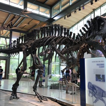 Witte Museum - Museums Near Me - San Antonio, Texas