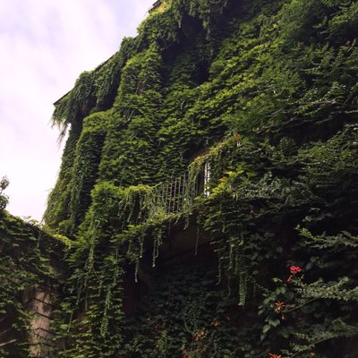 Braidense National Library by null