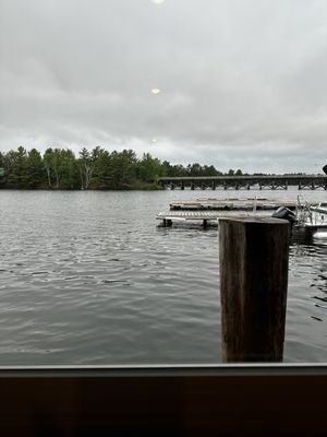 Thirsty Whale by null