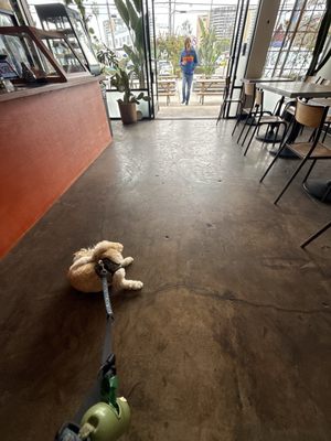 Paisita Cafe by null