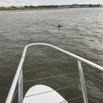 Capt. Derek's Dolphin Adventure On Tybee - Even more dolphins - Boating Near Me - Tybee Island, Georgia Capt. Derek's Dolphin Adventure On Tybee - Even more dolphins - Boating Near Me - Tybee Island, Georgia